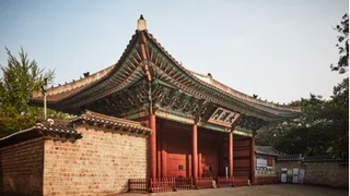 內卷時期的愛情：我的韓國導遊