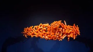 深海珊瑚與陸上草珊瑚