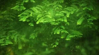 無住相布施