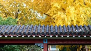 一個人的烏托邦