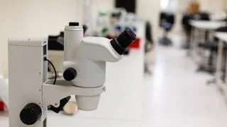 香港論文密度世界第4 科技產出為何只排第30 香港論文密度世界第4 科技產出為何只排第30