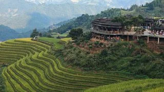 龍脊梯田：大地的指紋 人類的史詩