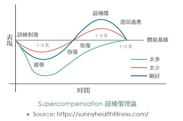 《重量訓練．阻力訓練聖經》重量訓練三大原則 - 健身運動 - 健康生活 | 運動視界 Sports Vision