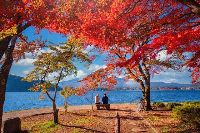 Mt.,Fuji,Over,Lake,Kawaguchiko,With,Autumn,Foliage,And,Couple
