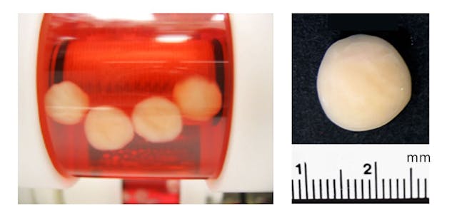 （左）：橫軸旋轉生物反應器培養三維組織 （右）：製成的軟骨。
