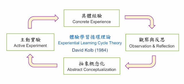 體驗學習循環示意圖