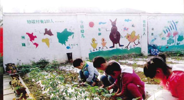 活知識幼兒園的學生透過種植活動，懂得珍惜食物。