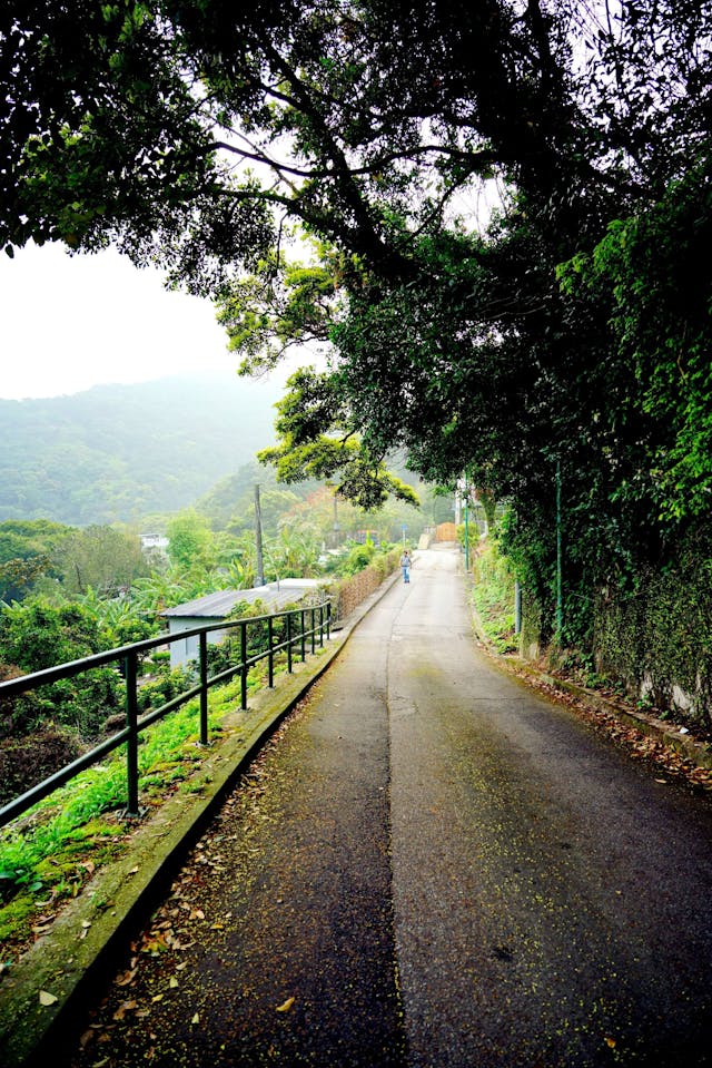 山蹊小路歸來晚