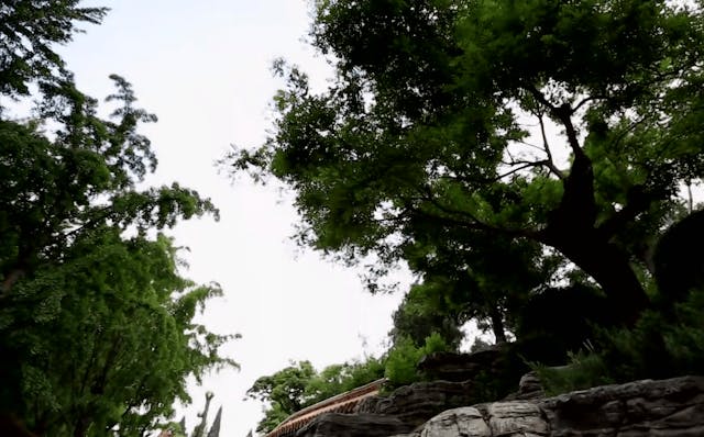 崇禎最後逃到煤山（今北京景山公園）一棵樹上自縊。（《中國通史》視頻截圖）