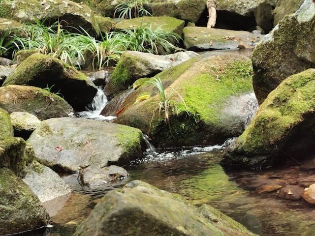 山徑野外，空氣清新，行走之間，心情舒暢，能以解憂。