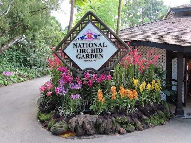 （圖三）新加坡國立蘭花園 （National Orchid Garden）