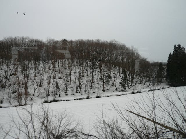 快4月了，還是這般冰天雪地的模樣，想也沒想過。