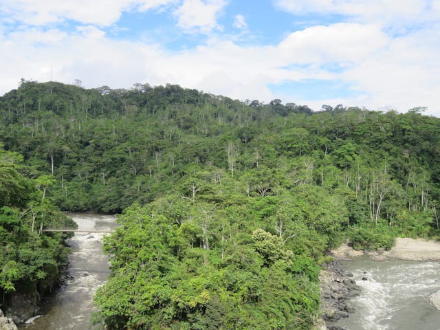 圖一、亞馬遜盆地（Amazon Basin）