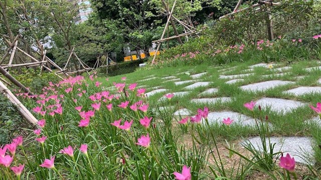 零碳天地的生物物種十分多樣化，包括水生植物和動物。