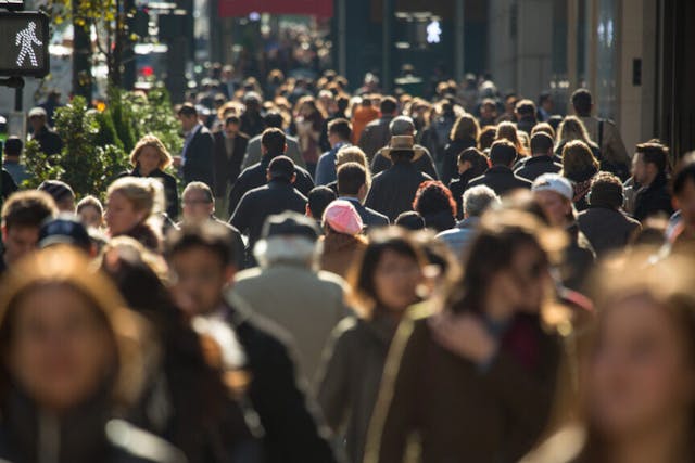 近年，美國教育界種族歧視政策反過來被指歧視白人。（Shutterstock）