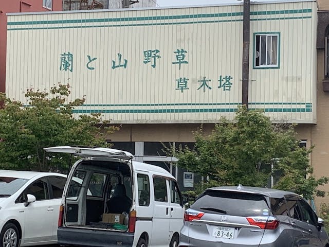 圖十三：蘭花及山野草店