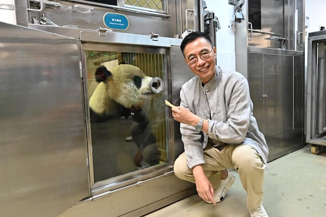 楊潤雄日前親赴四川了解大熊貓贈送香港事宜。（政府新聞處）