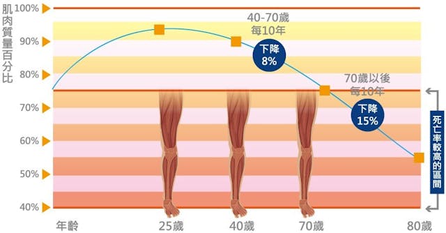 肌肉流失與年齡的關係。（作者供圖，取自茂盛醫院網站）