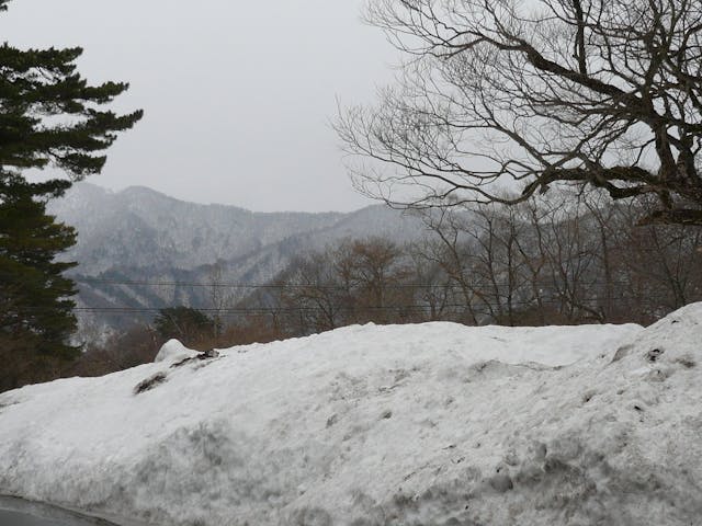 四周厚厚的積雪。