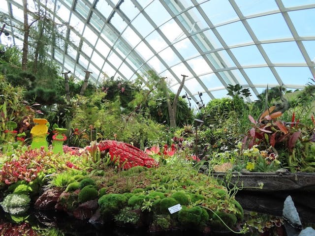 圖一：參觀者可以盡情觀賞高海拔地區的蘭花、食蟲植物及蕨類。