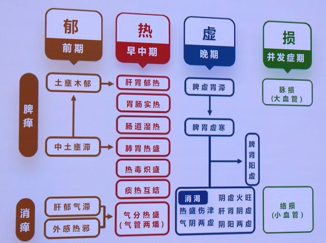 重構中醫診療體系──以糖尿病為例。（仝小林簡報）