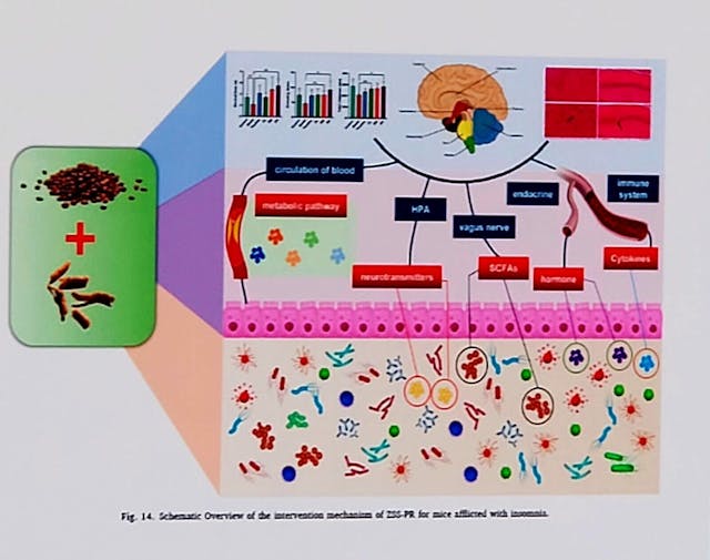 科學家現在已可透過下一代基因測序技術（NGS），結合動物實驗，觀察藥食引起的腸道菌群變化，更準確地評估藥食產品的性能。（翻拍自梁蕊簡報）