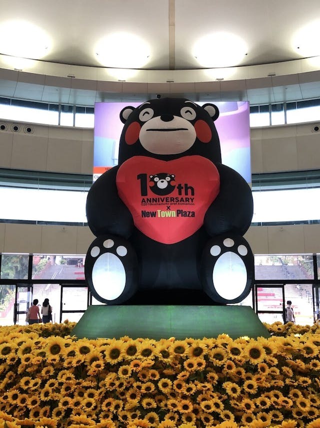 Kumamon10周年約會