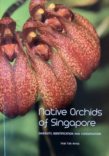 圖五：&lt;I&gt;Native Orchids of Singapore&lt;/I&gt;書影