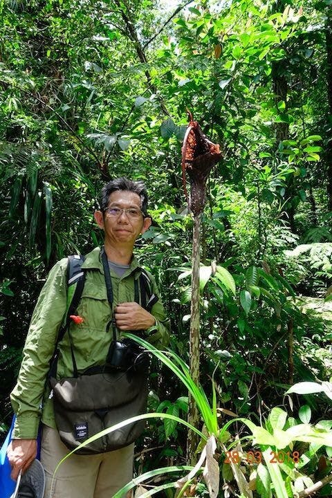 圖十、跟魔芋（Amorphophallus）自拍。