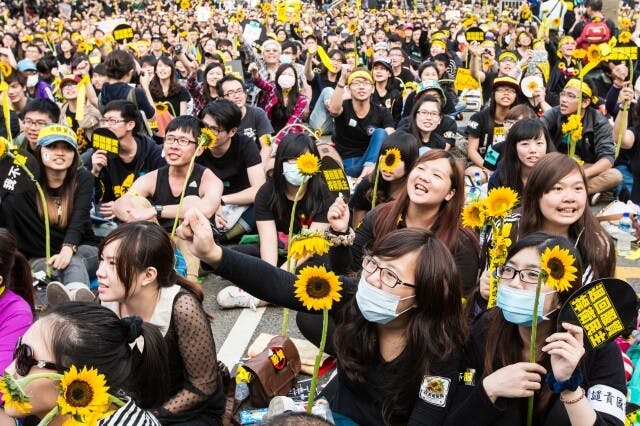 台灣年輕人群起反對黑箱服貿，成就「太陽花學運」。（台灣大紀元）