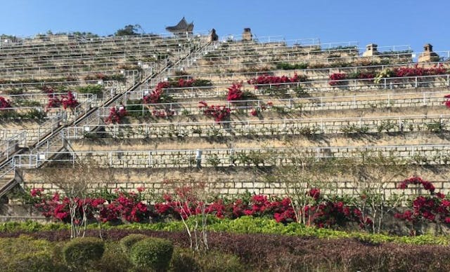 華永會將建設將軍澳墳場16段紀念花園，以生命列車為主題，並建設全新紀念撒灰花園予眼部組織捐贈者以支持醫管局眼庫中心的工作，藉此提高社會對器官捐贈及綠色殯葬的支持。