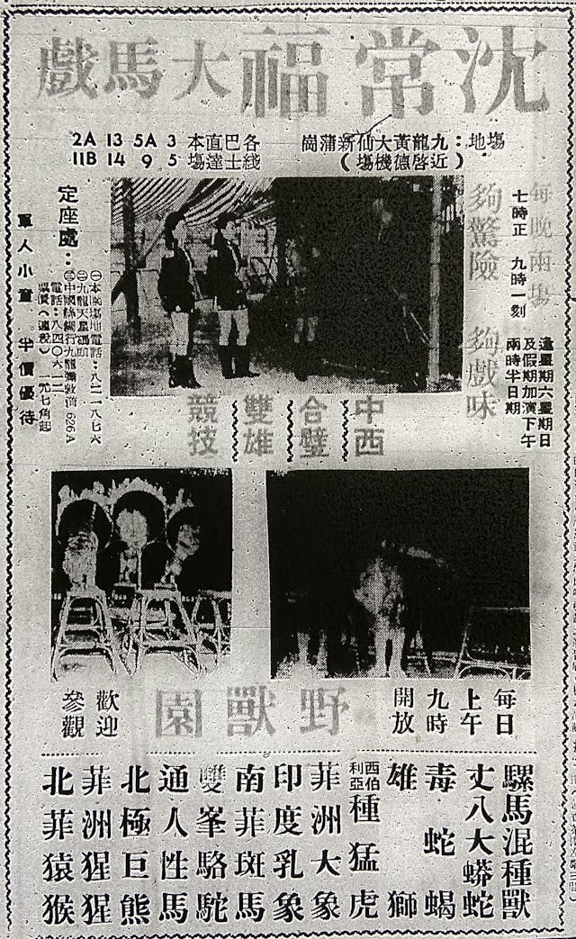 馬戲團1963年1月在新蒲崗演出，事先在報紙刊登廣告宣傳。