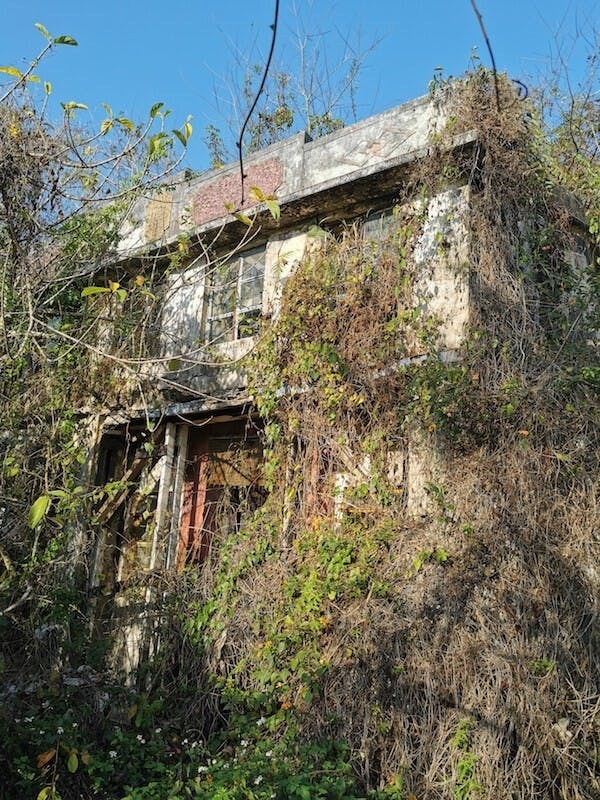 起子灣村，全村房屋同遭荒廢。