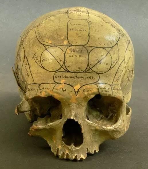 顱相學（Phrenology）