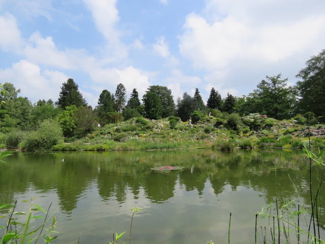 圖九：Alpinum（高山花園）。