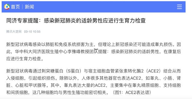 圖2：3月10日早上華中科大同濟醫院專家的推測已被大陸傳媒報道。 （來源： 騰訊大楚網新聞截圖）