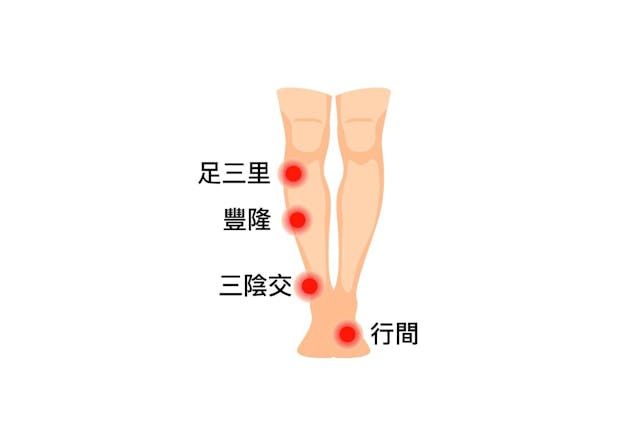 下肢針灸穴位位置。