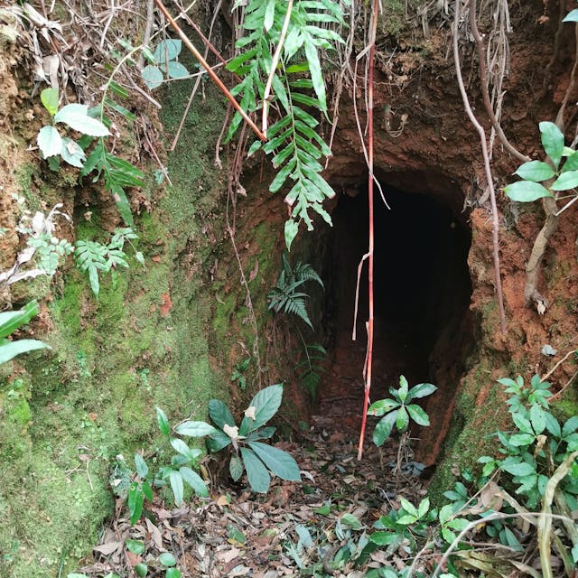 碗窑西側山上高嶺土礦洞。