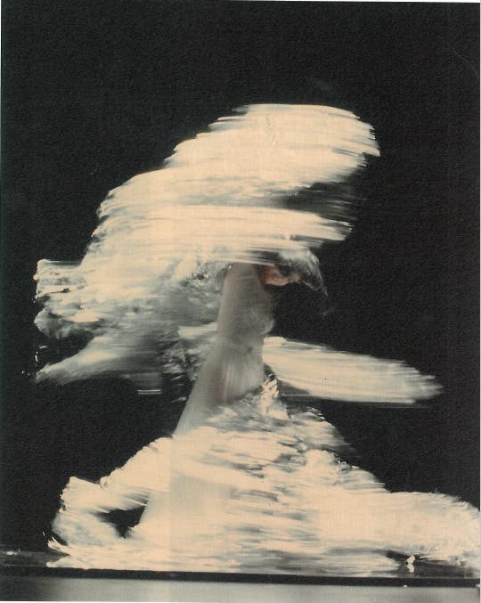 Mui Cheuk Yin, dancing with aluminum foil in her 1994 piece As Quick as Silver. 