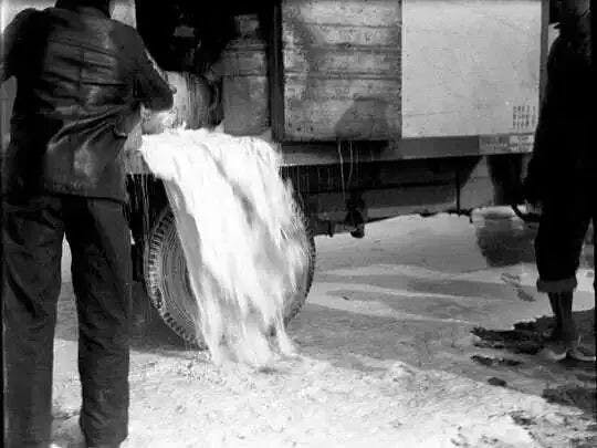 美國大蕭條時期，奶農正在倒牛奶。（Courtesy of the Sheboygan County Historical Research Center）