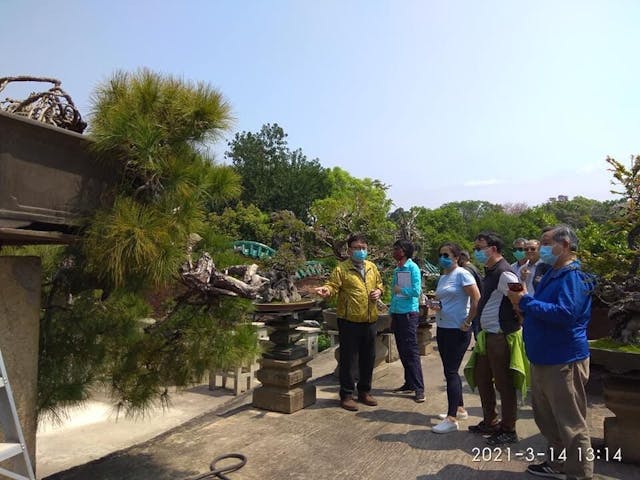 日前到上水金錢村石苑參觀，那裏是香港盆景雅石學會的會址，地方頗大，近4000平方米。