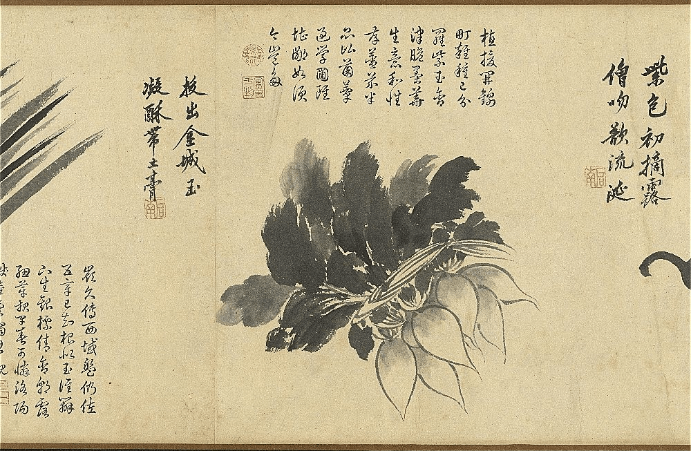 明．沈周繪《寫生卷》第十一段細部，紙本水墨。（台北國立故宮博物院藏品）