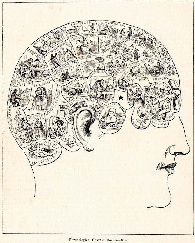 顱相學（Phrenology）