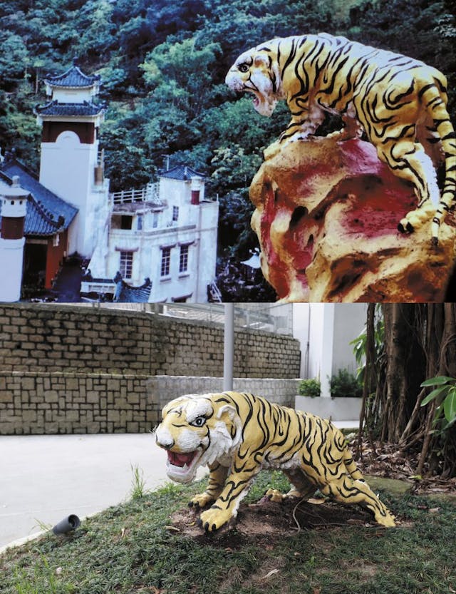  昔日原本在萬金油花園高處的老虎塑像（上圖），現在擔任鎮守虎豹樂圃入口處的任務 ( 下圖 )。