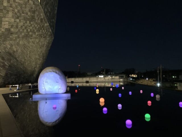 夜空中，池邊的女孩頭像。