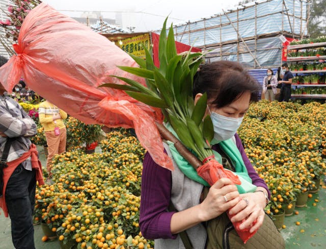 離開年宵花市只餘一個月左右，政府宣布取消花市。花農反應強烈，群情洶湧，政府拖了一個多星期決定恢復花市，但規模減半，同時引進一系列防疫措施。（亞新社）