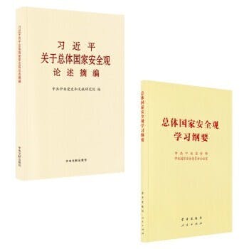 習近平年代，國家安全成為了政治上的重中之重。（京東圖片）