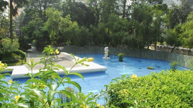 遮打花園原址前身是香港木球會舊址。（shutterstock）