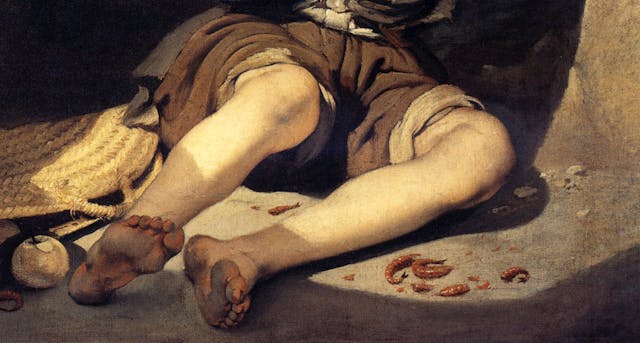 （圖6）年輕的乞丐（局部），穆里羅，盧浮宮博物館。The Young Beggar (Close up), Murillo, Mus&eacute;e du Louvre.