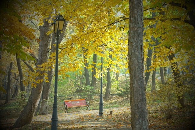 我們用了大半天在一個野外公園遊逛。滿眼所見是黃綠紅一片片，心境豈能不愉快。